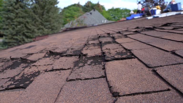 Best Cold Roofs  in Creston, OH