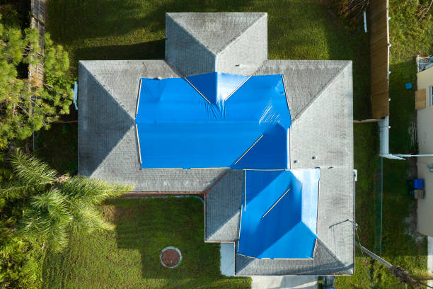 Best Asphalt Shingles Roofing  in Creston, OH
